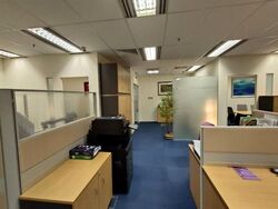 Tan Eng Kiam Building (D1), Office #489862351
